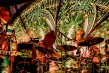 Moonalice 9-21-12 Hopmonk-4688<br/>Photo by: Bob Minkin